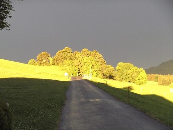 Ferienstudio Familie Fässler-Dörig Appenzell Exteriör bild